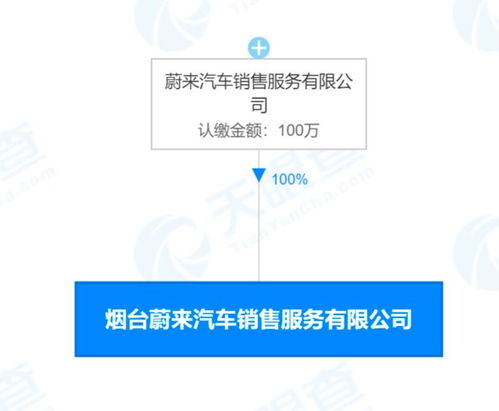 蔚来新公司业务版图再扩张 从高端电动车到网约车与品牌服务的战略布局